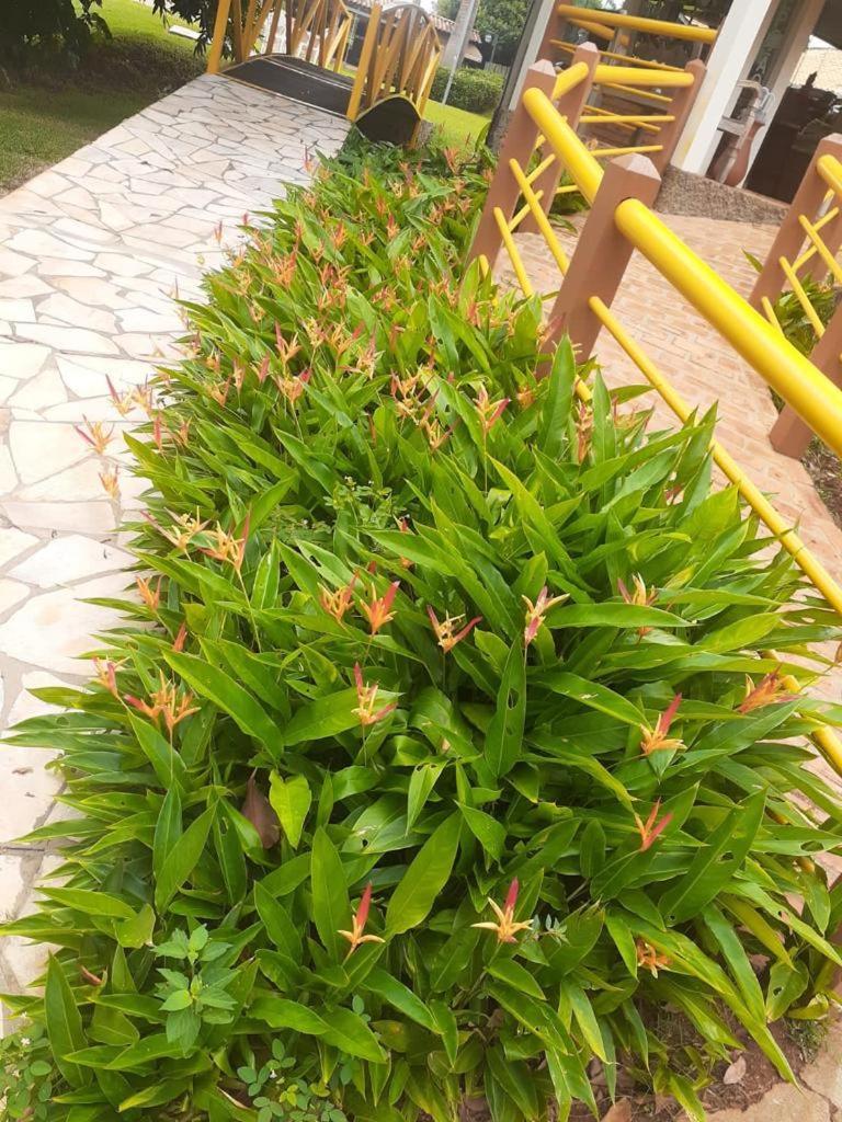 Pousada Do Lago Dutra Guape Ngoại thất bức ảnh