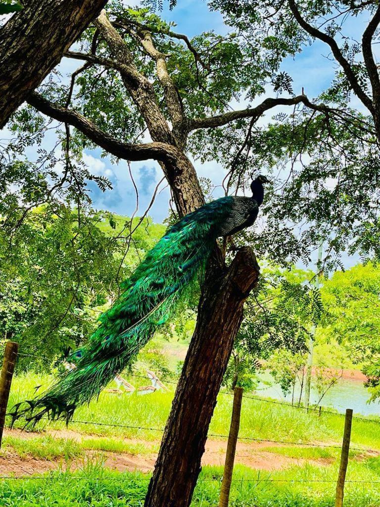 Pousada Do Lago Dutra Guape Ngoại thất bức ảnh