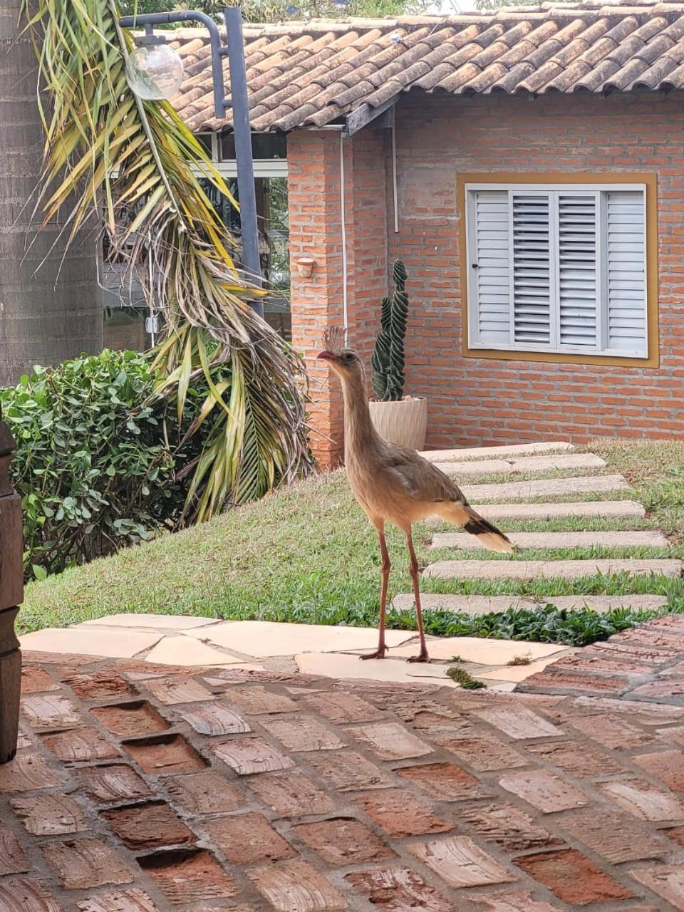 Pousada Do Lago Dutra Guape Ngoại thất bức ảnh